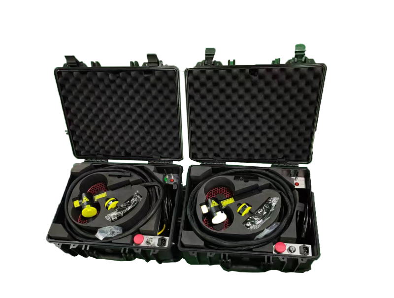 Top Rated Luggage Style Laser Cleaning Machine for Sale